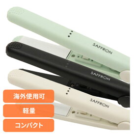 理美容家電 ヘアーアイロン ミニアイロン ストレートアイロン ストレート HDL-MN-01ミニアイロン ヘアアイロン コンパクト 軽量 ヘアケア 美容家電 ドライヤー ヘアセット ストレートアイロン ブラシ ホワイト ブラック ミント[2607SO]