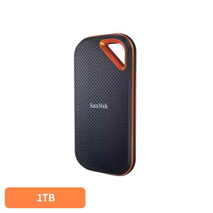 SanDisk GNXg[v |[^uSSD1TB SDSSDE81-1T00-J25|[^uSSD 1TB sandisk TfBXN RpNg e f[^ۑ Be TfBXN