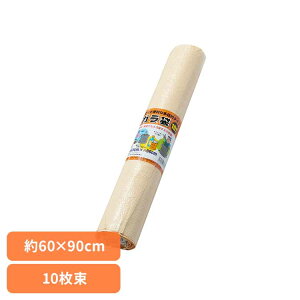 PP�K����10���� GB10�y�̂� �K���� PE�y�̂� �������� �ЊQ ���~ �S�~�� �h�� �䕗 ���Q