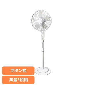 40cm�t���A�[���J�� ��@ �t���A�[��@ �{�^���� �������� TEKNOS �yB�z