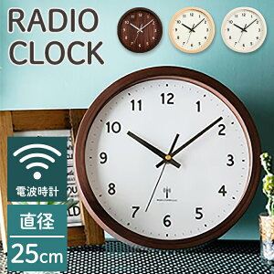 v dg  Ǌ| 25cmǊ|v v EH[NbN ǂ a25cm Vv dgv Ƃ CeA ₷ |v AC{[ _[NuE i` PWCRR-25