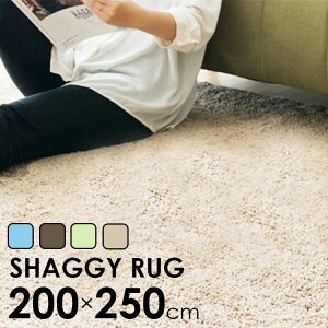 VM[O 200×250 SYGR-S-2025  VM[O 200×250 J[ybg O}bg 3  }CNt@Co[ ~  ʔN I[V[Y XO[ uE x[W lCr[