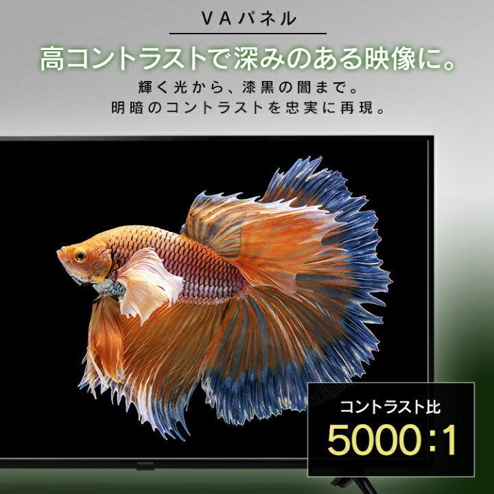 楽天市場】テレビ 55インチ 4k 裏番組録画可能 液晶テレビ スポーツ 