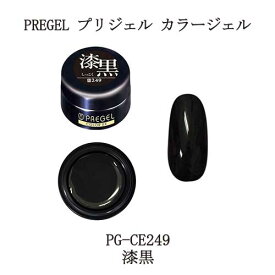 【最大3％OFF】 プリジェル カラージェル PREGEL カラーEX PG-CE249 漆黒 ブラック マット 4g ネイルカラー ネイリスト セルフネイル ジェルネイル ジェルカラー ソフトジェルタイプ ソークオフタイプ 新品 送料無料