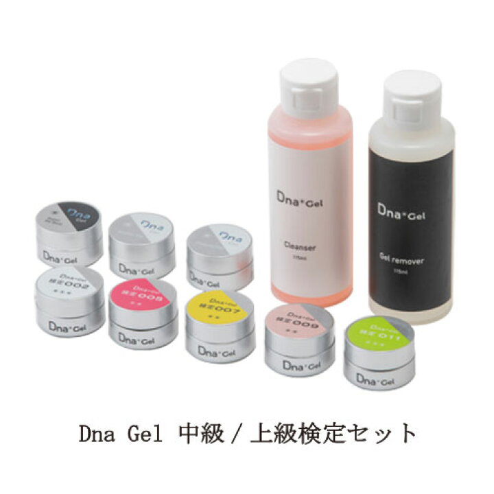 楽天市場】ディーナジェル Dna Gel 中級/上級検定セット JNAジェル  