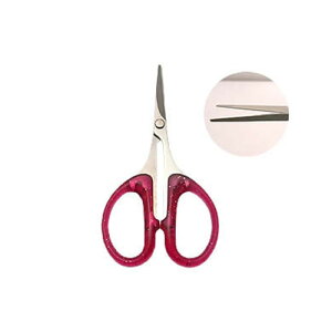 yő3OFFz C lCVU[ S034 Xg[g^Cv VU[ NAsN nT~ utumi lCV[̃Jbg tH[̃Jbg VÑJbg RpNg lCPA lCXg l