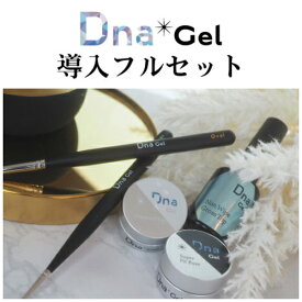 Dna Gel ディーナジェル 導入フルセット スターターキット ジェルネイル カラージェル クリアジェル トップジェル ベースジェル ミキシングジェル クレンザー リムーバー LEDライト ネイルブラシ オーバル 筆 ネイルアート ネイルサロン ネイリスト セット 新品 送料無料