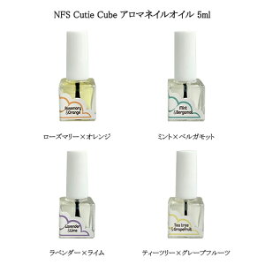 NFS Cutie Cube A}lCIC 5ml y4ނ炲Iz L[eBL[u i`tB[hTvC 5ނ̐AIC ̐2 {^jJIC L[eBNIC 