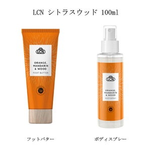 LCN VgXEbh tbgo^[ {fBXv[ 100ml y2ނ炲Iz tbgN[ {fBN[ tbgPA lCPA {fBPA XLPA ZtPA ێ  IW