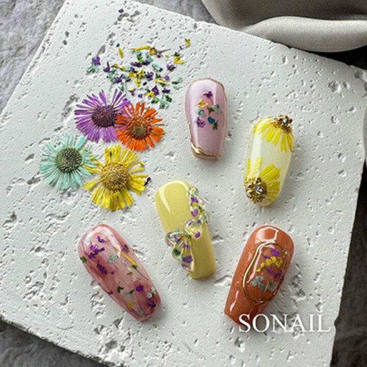 楽天市場】ソネイル SONAIL ドライフラワーネイル 2g 【2種類からご 