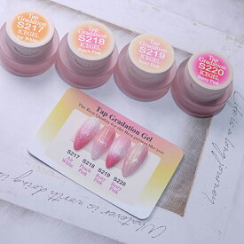 【最大3％OFF】ICE GEL A BLACK タップグラデーションジェル 2g 【4色からご選択】 アイスジェル S217 S218 S219 S220 グラデーションジェル ソフトジェル マット ソークオフ ピンク ホワイト ジェルネイル ネイルアート セルフネイル ネイルサロン 新品 送料無料