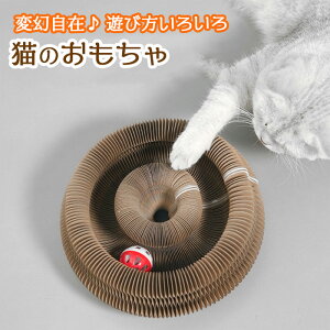 yő3OFFz Lp Lk邨 ˂ lR ܌ ܃PA ܖ ^s XgX OȂ lV  킢   Lяk RpNg [₷ 