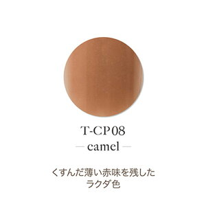 �y�ő�3��OFF�z TOY's × INITY �g�C�Y�o�C�A�C�j�e�B �A�N�����p�E�_�[ �A�����f���[�R���N�V���� 7g �y10��ނ��炲�I���z T-CP01����T-CP10 �J���[�p�E�_�[ �����݃J���[ �W�F���l�C�� �l�C���A�[