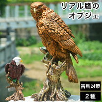 楽天市場】鷹（インテリア小物・置物｜インテリア・寝具・収納）の通販