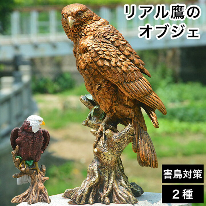 楽天市場】【最大3％OFF】 リアル鷹のオブジェ 【2種類からご選択 