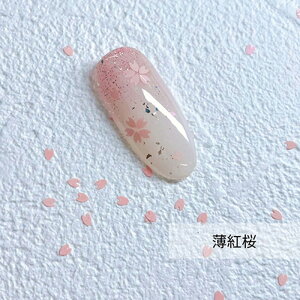 【最大3%OFF】 nailparfait ネイルパフェ mini 桜ホログラム 約1g 【4種からご選択】 薄紅桜 白雪桜 赤真珠桜 燻し金桜 さくら 花びら フラワー 春ネイル 小さい 華やか 和風 和柄 綺麗 可愛い おし