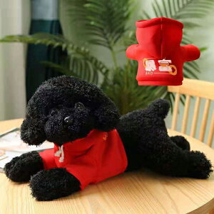 yő3OFFz gCv[h ʂ t y3F×2TCY炲Iz 35cm 48cm  ӂӂ GSnǂ   Aj} 킢   qǂ q j̎q