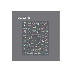 yő3%OFFz \[lC SONAIL×MEG choose a font 1 y2ނ炲Iz MEG000385 MEG000386 lI mN[ lCV[ At@xbg p   ZX lCp[c lC