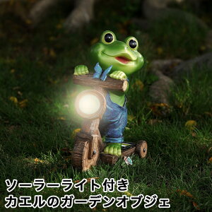 yő3OFFz \[[Cgt ]ԂɏJG K[fIuWF u ^   K[fjO | Ɩ  邢 K[fCg  킢  x_ O u