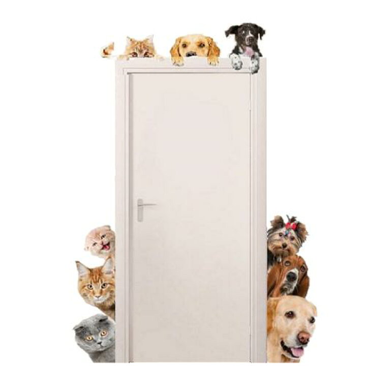 楽天市場 ウォールステッカー 猫ステッカー 4匹 犬ステッカー 5匹 計9匹 ねこシール いぬシール 壁紙 新品 送料無料 Lエル