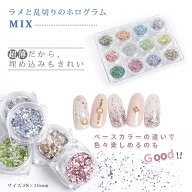 ラメと乱切り 極薄 ホログラム 12色セット ミックスセット カラフル 12色セット ホロラメ ネイルアート …