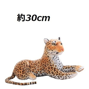 qÊʂ 30cm   NbV p[eB[ CeA ^ A {i `[~[ Aj}   LbY pT[ Ϗ    X fBXvC