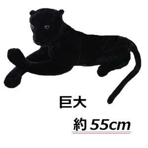 3D qÊʂ {i A ubNpT[ 55cm   p[eB[ CeA ^ `[~[ Aj}   LbY TCY Ϗ    X  