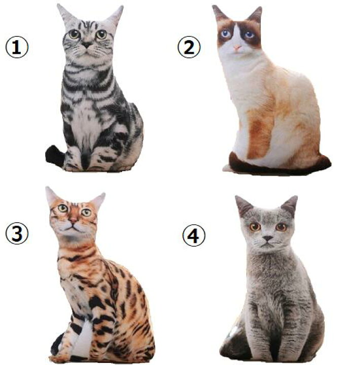 楽天市場 3d 猫ちゃんのぬいぐるみ クッション 本格 リアル 疑似ペット 癒し 抱き枕 種類選択可能 パーティー インテリア 愛猫家 チャーミー キャット パートナー アニマル 可愛い おもちゃ キッズ 観賞 動物 店頭 ディスプレイ 置物 誕生日 パーティー イベント 送料