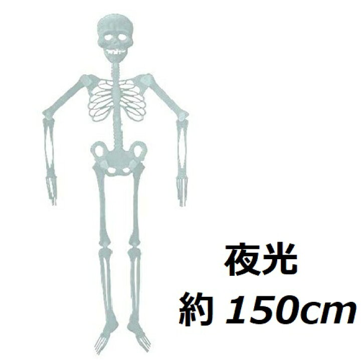 楽天市場 人体骨格模型 夜光発色 簡易標本 約150cm 壁掛けフック穴付き 取り外し可能パーツ デザイン スカル 可動関節有り リアル ドクロ 整体 デッサン ウォールアート インテリア 店頭 ディスプレイ ファンタジー ホラー オーナメント ハロウィーン 送料無料 新品