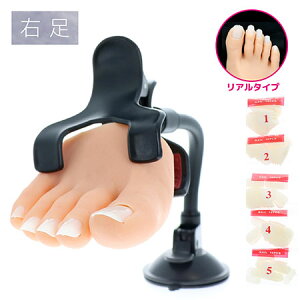 yő3OFFz r[eB[lC[ BEAUTY NAILER vNeBXn[ttbg A E PFR-1 lCKp tbg}lL `bv lC lCXg lCpi lCObY lC