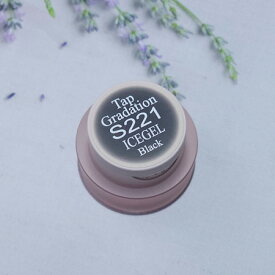 【最大3％OFF】 アイスジェル ICE GEL A BLACK タップグラデーションジェル S221 ブラック 2g グラデーションジェル カラージェル スポンジネイル ソフトジェル マット ソークオフ ジェルネイル LED UV ネイルアート セルフネイル ネイルサロン ネイル用品 新品 送料無料