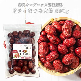 なつめ ドライ 大粒 500g 栄養管理士監修 USDA・EUROLEAFオーガニック認証原料 ナツメ 無農薬 無添加 棗 ドライフルーツ おやつ 鉄分 薬膳 Grace of Nature