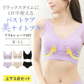 【送料無料】福袋 美ナイトブラジャー ショーツ セット3点セット 育乳 育乳ブラ 夜用 ノンワイヤーブラ 脇高 小胸 バストケア スポーツブラ スポブラ ヨガ 昼夜兼用 パジャマ 産後 楽 夜 痛くない 補正下着 まとめ買い 下着 レディース ショーツ 上下セット 女性