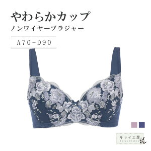 ���炩�J�b�v �m�����C���[�u���W���[ �L���C�H�[ �ɂ��Ȃ� �␳�u�� �␮ �e�� A-E�J�b�v �A���_�[90 �u���W���[ �u�� �P�i �u������ ���[�X �����W�F���[ �h�J�� �������� ���킢�� 3/4�J