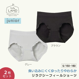 y Pi/2_ZbgzWjA nCWjA NV[tB[V[c K[Y h[h peB  Ci[ 킢 V[X ̎q q ǂ qǂ n LkL 