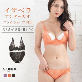 【クーポンで300円オフ】イザベラ(B85・C85～H100カップ) ソニアブラック ワイヤーブラジャー ショーツセット ブラセット f95 f100 g95 g100 e95 ブラジャー ノーマルショーツ スタンダードショーツ パープル グリーン 大きいブラ 可愛い グラマー パンティー エレーヌ