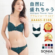 【お買い物マラソン1,000円オフ】【AAA-Hカップ】ブラジャー ショーツ セット (AAA-E) 自然に盛れちゃう …