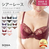 【AAA-Hカップ】 ブラジャー ショーツ セット (AAA65-E100) シアーレース 送料無料 ソニアブラック 下着 …