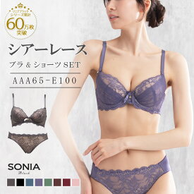 【AAA-Hカップ】 ブラジャー ショーツ セット (AAA65-E100) シアーレース 送料無料 ソニアブラック 下着 レディース ワイヤーブラジャー バストアップ aaaカップ aaカップ aカップ 小さいサイズ 上下 下着 ランジェリー