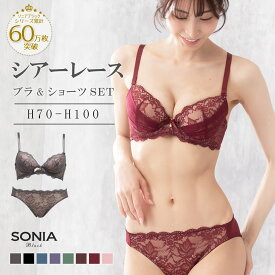 【期間限定ポイント2倍】 【AAA-Hカップ】ブラジャー ショーツ セット (H70-H100カップ)シアーレース 送料無料 ソニアブラック 大きいサイズ ブラショーツセット ブラジャー ショーツ hカップ ブラ 上下セット 下着 ランジェリー エレーヌ
