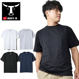 送料無料 1枚でスタイルが決まる 2枚組 半袖Tシャツ ヘインズ Hanes BEEFY 2着 ヘビーウェイトTシャツ ビーフィー メンズ 生地厚 丈夫 無地 コットン100% h5180-2 【あす楽対応】