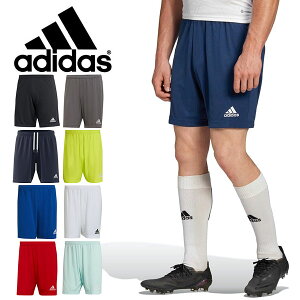 AfB_X Y V[gpc  adidas ENTRADA22 V[c Zp n[tpc W[W X|[cEFA TbJ[ tbg{[ g[jO EFA  Nu K TG216