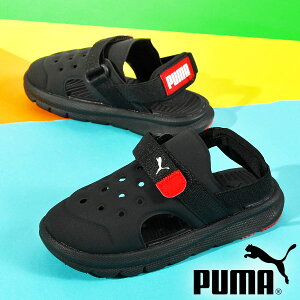 v[} p xr[ T_ ܐی PUMA WjA q j̎q ̎q G{u T_ AC Ct@g r[`T_ V[Y C qC xN C v[ r[` 