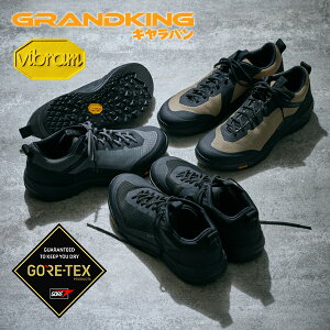  Lo SAebNX gbLOV[Y Y fB[X Caravan Free Climb t[NC GORE-TEX AEghAV[Y oRC gbLO oR nCLO AEghA V