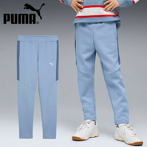  v[} LbY XEFbg pc  PUMA EVOSTRIPE PT DK B WjA q Opc W[W XGbg 2025H~V 691184