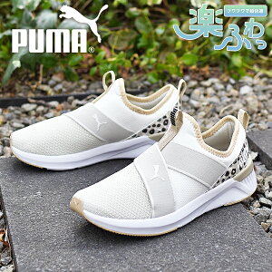 27%off  qE v[} fB[X Xj[J[ Xb| SnQ ӂӂC\[ PUMA SOFTRIDE n[ XbvnCubh XLY [Jbg V[Y C Ip[