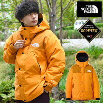 楽天市場】the north face mountain down jacket gore－texの通販 