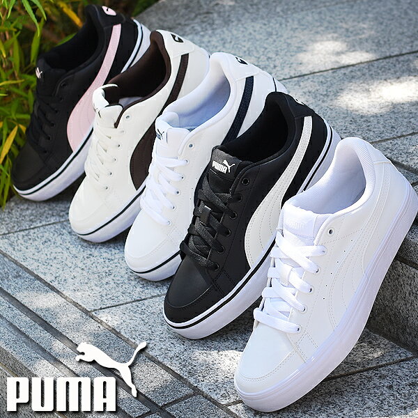 31%off 当店PUMA売れ筋 NO,1  プーマ メンズ レディース スニーカー PUMA プーマ V コート バルク ローカット シューズ 靴 389907