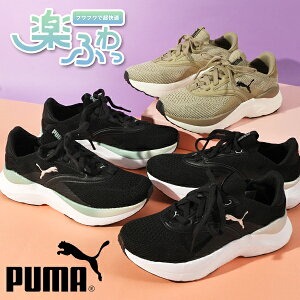  v[} fB[X  Xj[J[ SnQ ӂӂC\[ PUMA SOFTRIDE Cu EBY [Jbg V[Y C 2025H~VF 310160