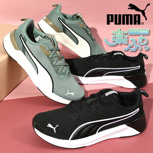  v[} fB[X Xj[J[ SnQ ӂӂC\[ PUMA SOFTRIDE n[ EBY [Jbg V[Y C 2025tĐV 311100